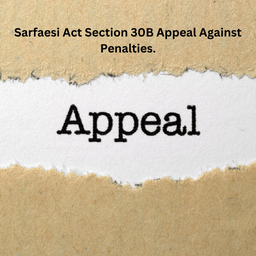Sarfaesi Act Section 30B Appeal Against Penalties.