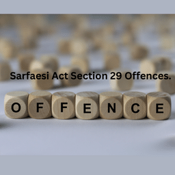 Sarfaesi Act Section 29 Offences.