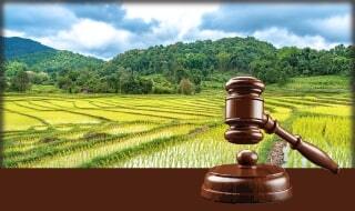 Debts Recovery Tribunal Auctions for Agricultural Land in Jhirnya, Khargone