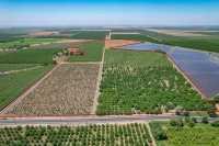 eAuction Agricultural Land in Dharsiwa, Raipur